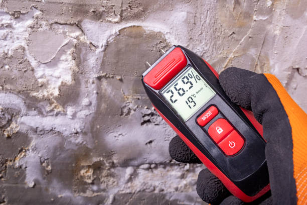 Best Professional Mold Removal  in Hudson, WI
