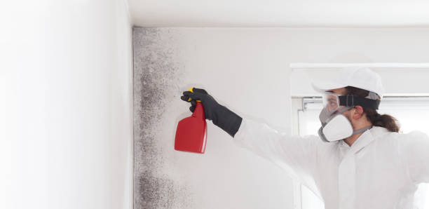 Crawl Space Mold Removal in Hudson, WI
